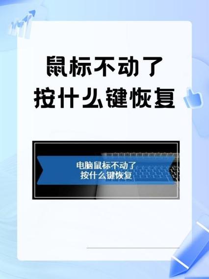 鼠标时而动时而不动