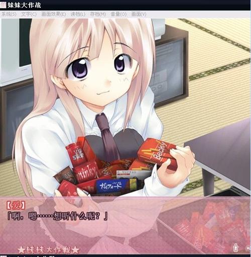 妹妹大作战DS