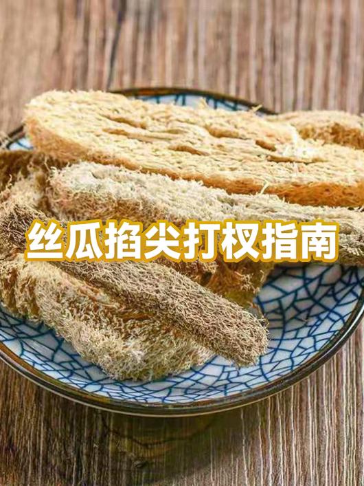 丝瓜各部位名称图解