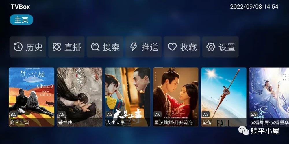 TVbox所有版本
