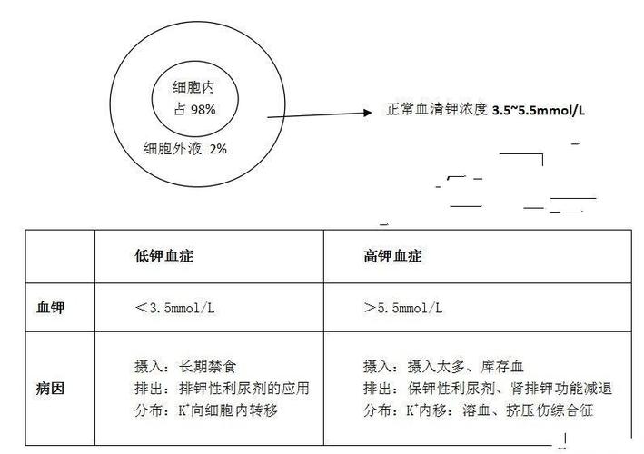 血甲是什么材料