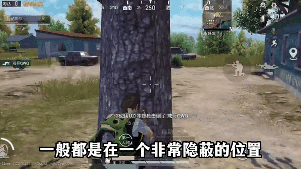 和平精英隐藏的秘密
