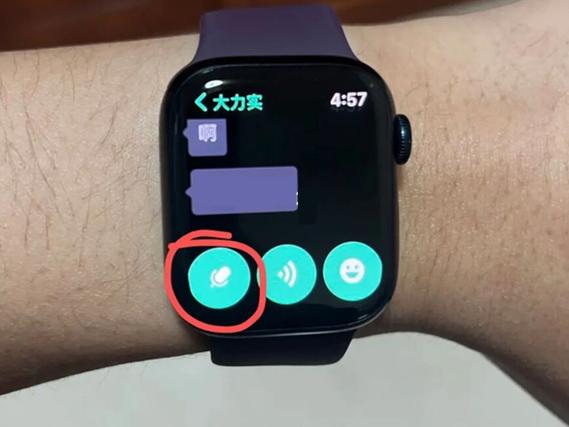 苹果手表来微信语音没有提示