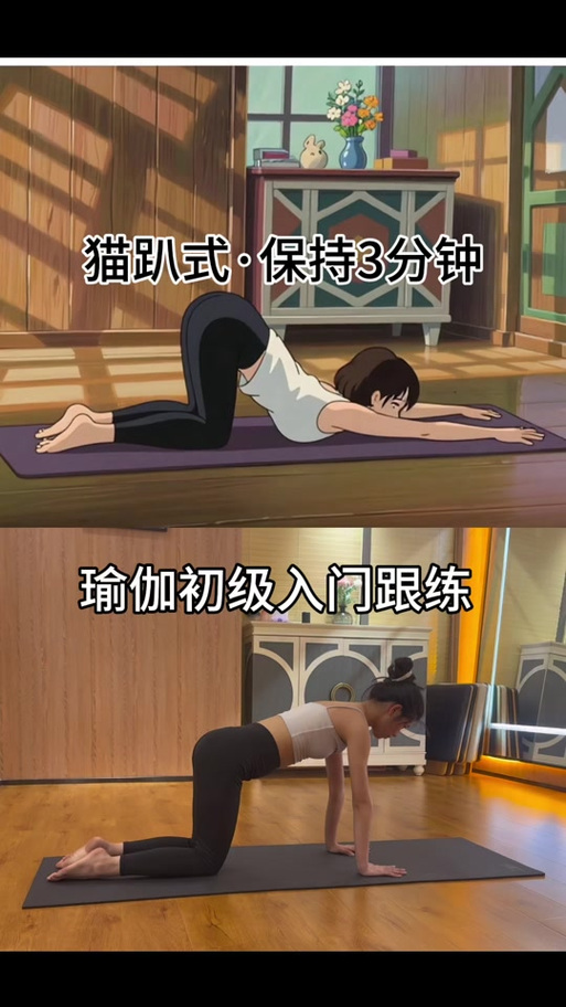 初学者瑜伽视频教程 在家练瑜伽