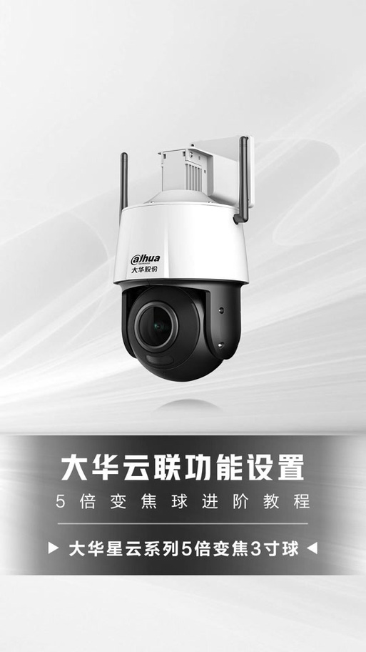 大华云联2026版