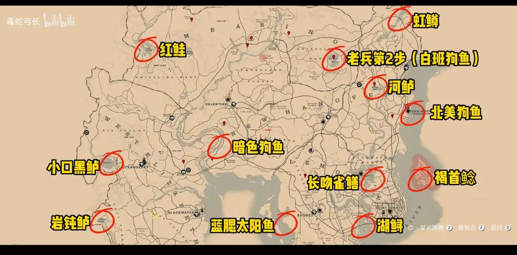 荒野大镖客2传说鱼钓鱼地点