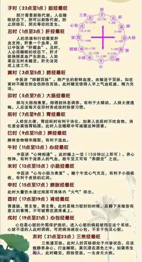 一年12个月对应人体的什么