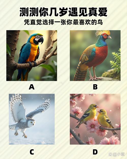 梦游太空最佳答案动物