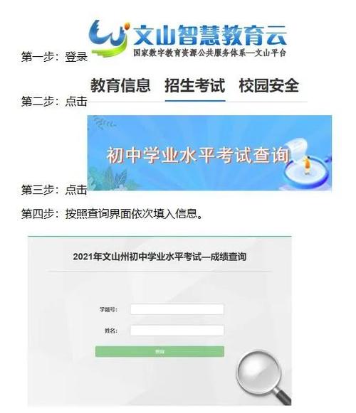 初中生查分数平台