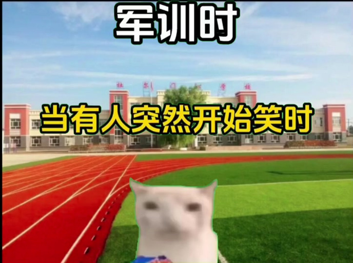 红温憋笑猫meme大全