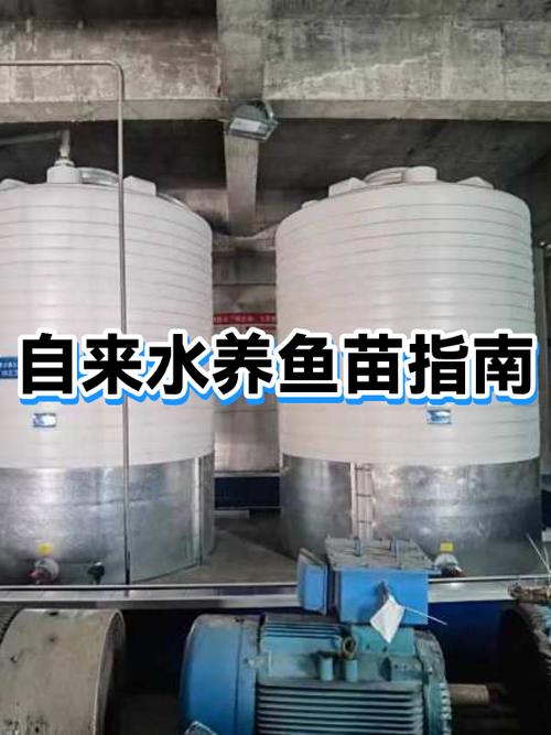 自来水养鱼怎么处理水