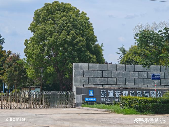 千腾集团