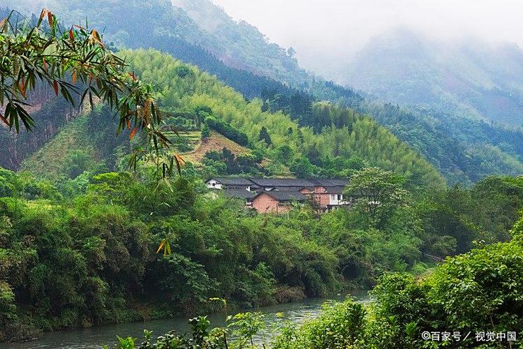 山村悠闲山林生活