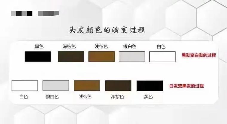 白发变黑发过程顺序
