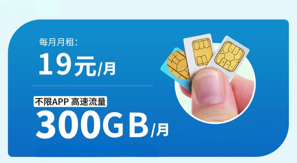 19流量卡300g