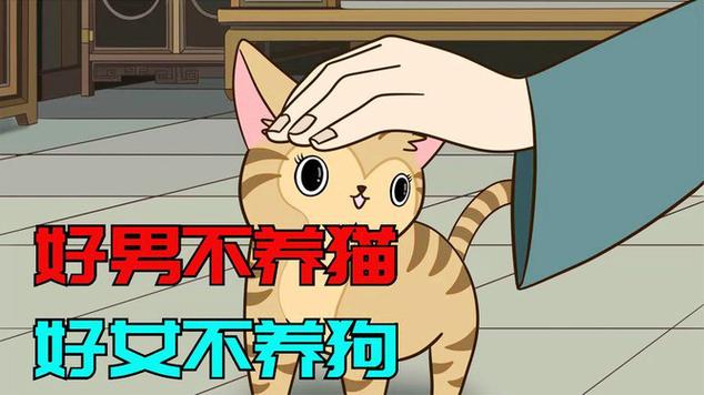 “好男不养猫,好女不养狗”