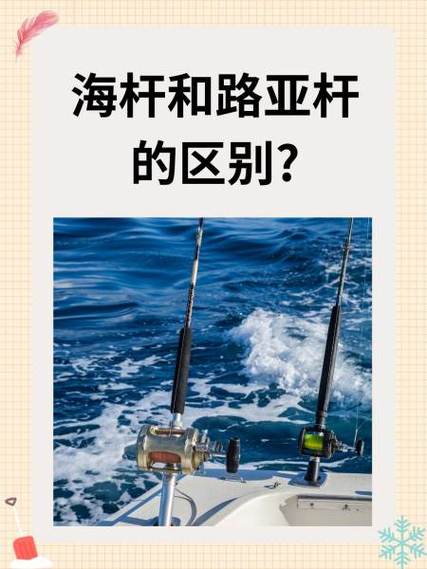 新手买海竿还是路亚竿