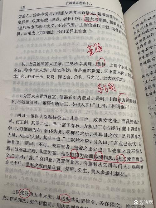 chatGPT翻译软件