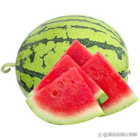 十大名牌西瓜排行榜