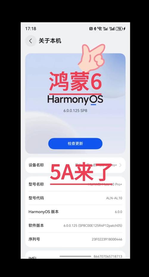 鸿蒙6开发者选项在哪里打开