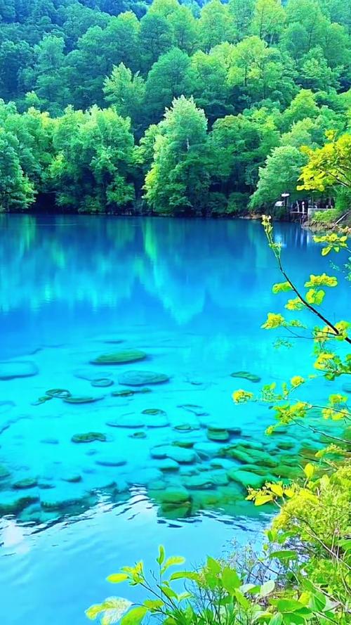 山水自然风景视频