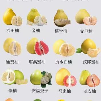 完整柚子保存最佳方法