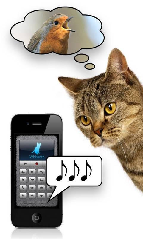 猫语翻译器中文