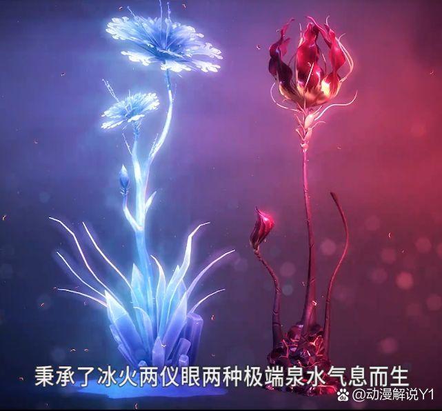 斗罗大陆仙品药草大全