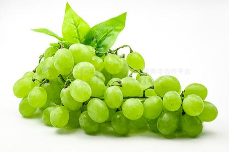 青葡萄最新版本下载