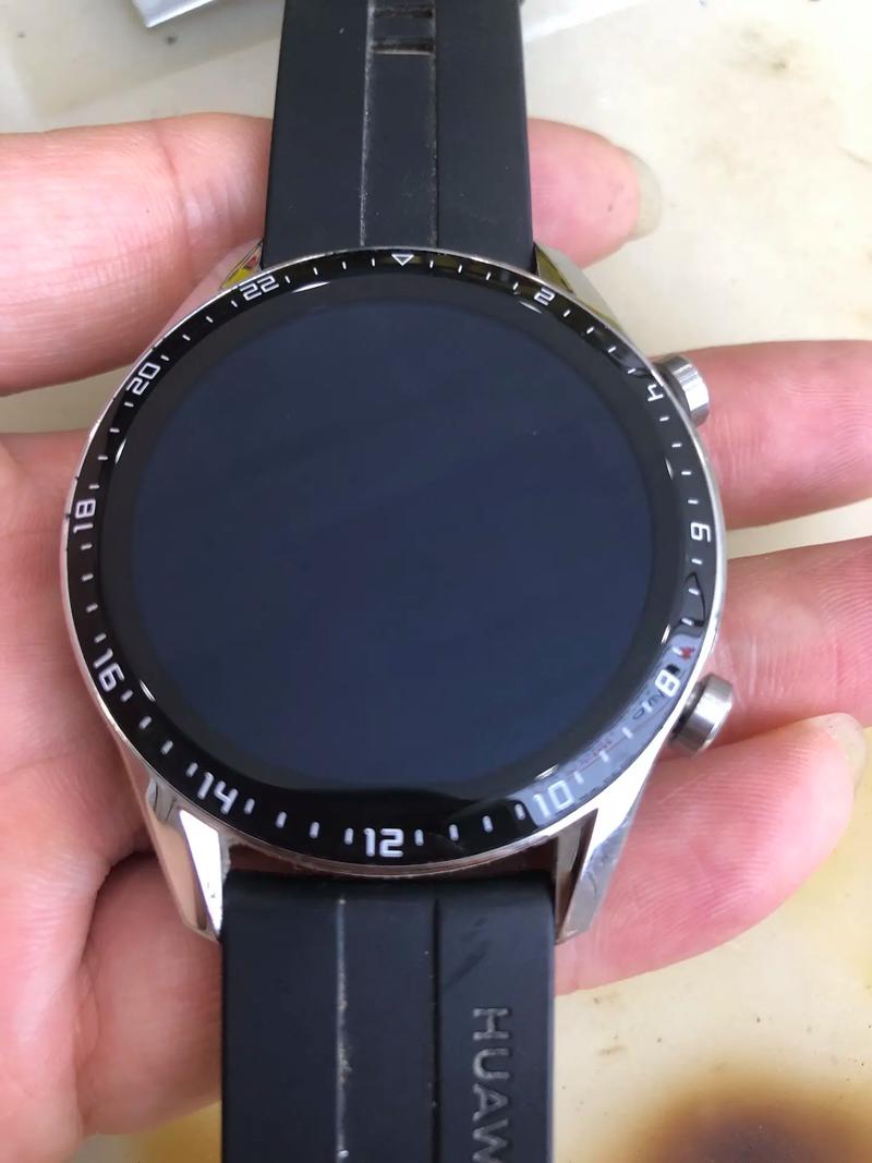 watch gt2