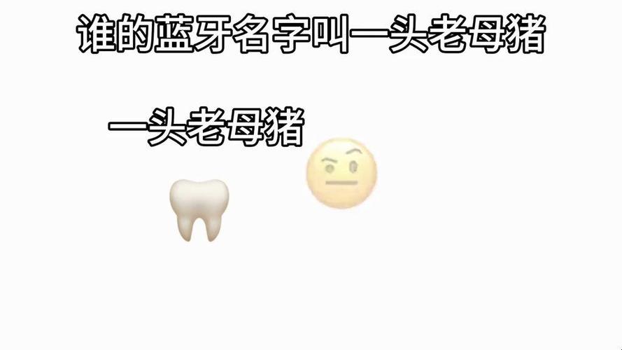 蓝牙名字大全搞笑100个