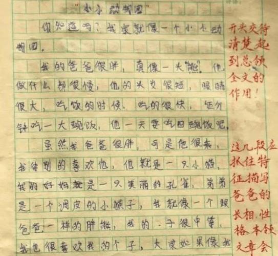 和姐姐一起玩的作文怎么写