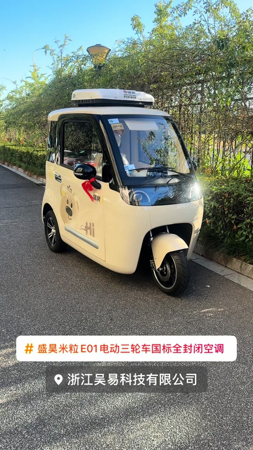 盛昊电动四轮车生产厂家