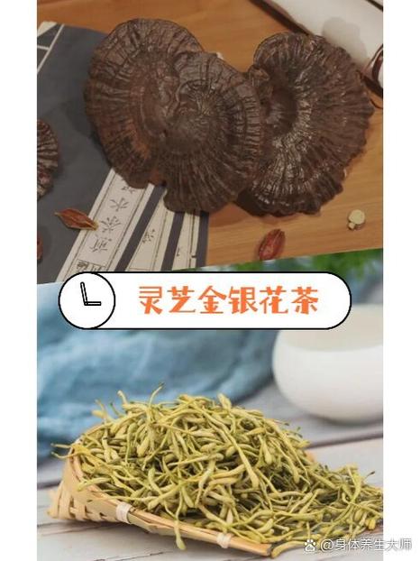 灵芝怎么用效果最佳