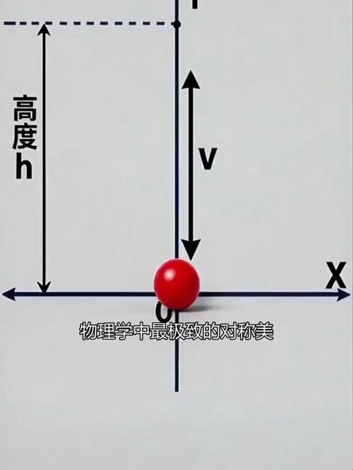 竖直上抛的6个基本公式