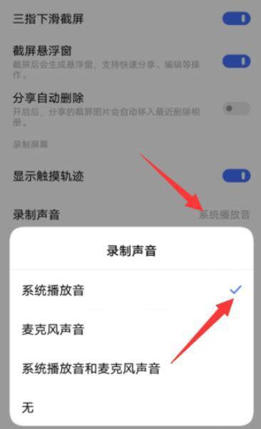 vivox20录视频怎么没声音