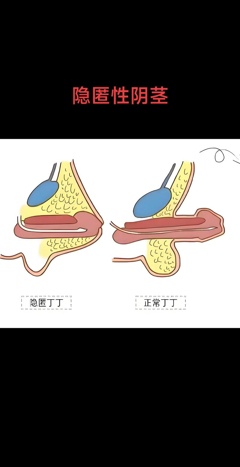华为手机隐藏应用使用方法