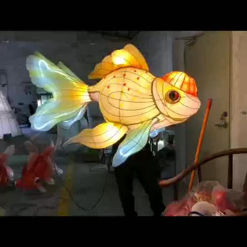 金鱼开灯多少小时