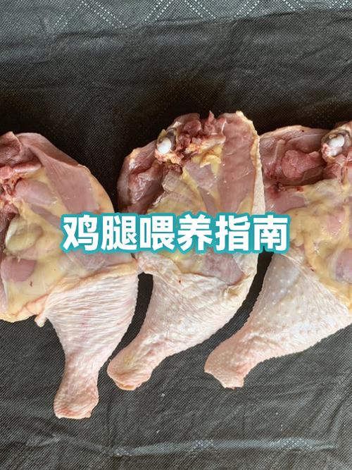 鸡腿早上吃还是晚上吃好