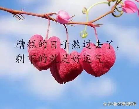 别人说你丢了最精辟的回复