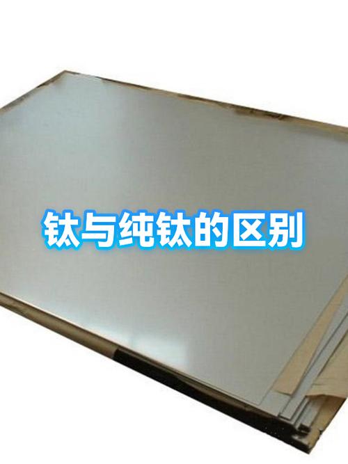 钛和纯钛哪个好