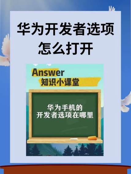 华为进入开发者模式