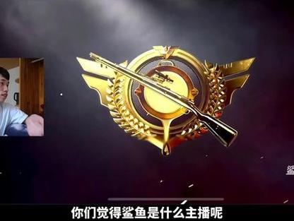鲨雕哟sdy游戏解说