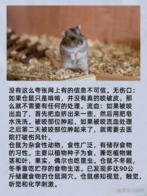 被仓鼠咬了有死亡案例吗