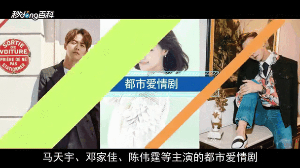 相亲节目有哪几个