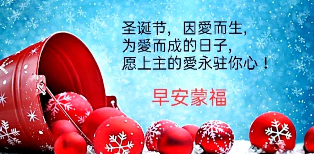 《圣诞的欢愉》在线观看