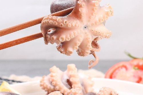 迷你小八爪鱼
