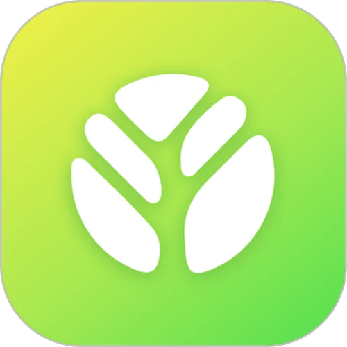 树新风app叫什么