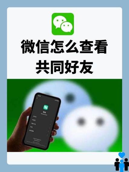 微信共同好友在哪看