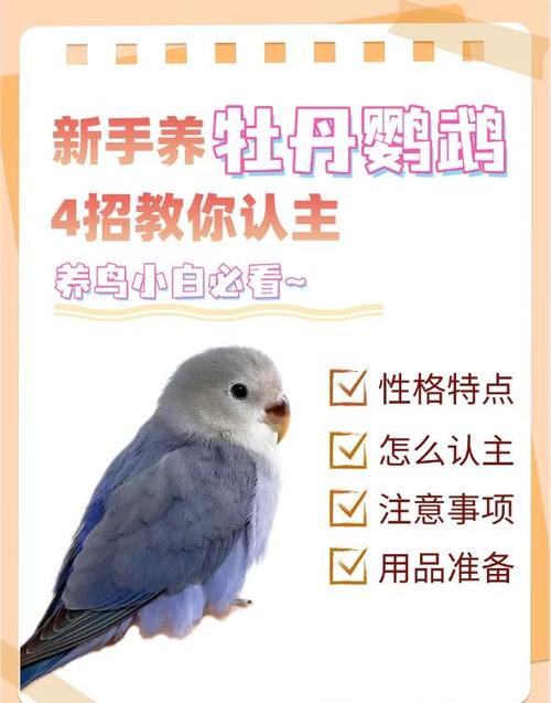 鹦鹉一生认几个主人
